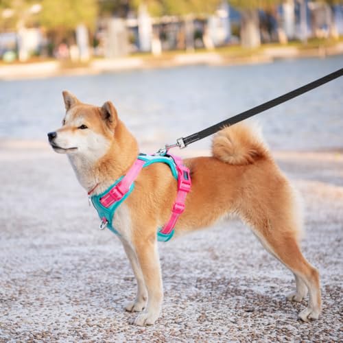 PHOEPET Anti-Zug Hundegeschirr verstellbar mit Reflektoren | Trainingsgriff & Metallclips für alle Hundegrößen(M,Minzgrüne Basis & Pinke Träger)