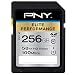 PNY Elite Performance 256 GB High Speed SDXC Class 10 UHS-I, U3 up to 95 MB/Sec Flash Card (P-SDX256U395-GE)