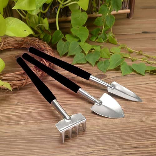 Set de herramientas de jardinería 3 piezas para plantas miniatura 1