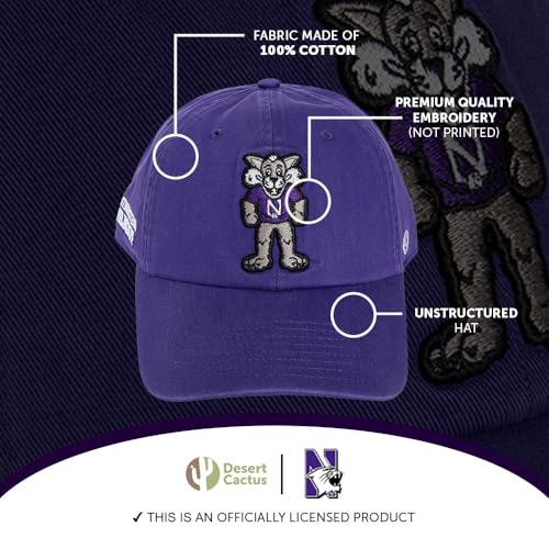 Desert Cactus Northwestern University Gorra de Béisbol miniatura 4