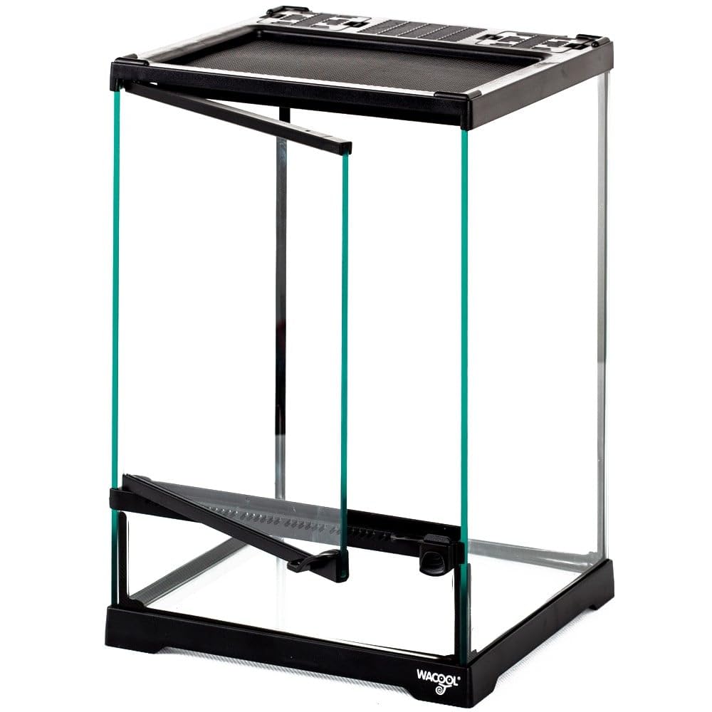 Repti-Zoo Terrario 21 x 21 x 30 cm – Terrario in vetro per rettili, anfibi, aracnidi e insetti