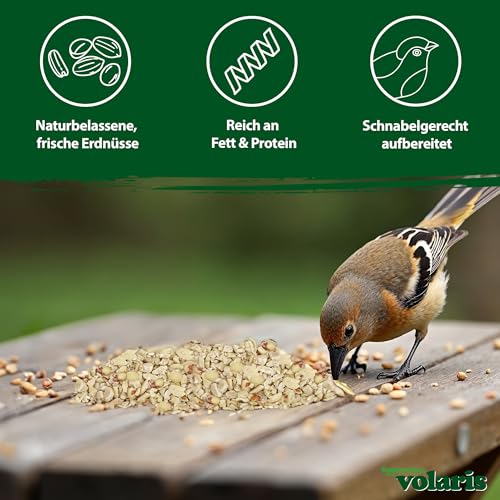 Eggersmann volaris Gehackte Erdnüsse Vogelfutter 2,5kg – Vogelfutter Erdnüsse für Wildvögel Energie- & proteinreich – Gehackte Erdnusskerne frisch & naturbelassen – Hochwertiges Wildvogelfutter