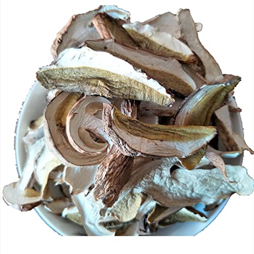 Recopilación y reviews de Boletus los diez mejores. 18 Boletus, cep, Boletus Luridus, Boletus Reticulatus, Boletus Taianus, Boletus Sylvestris, Boletus natural, Boletus Venturii, niuganjun, Setas secas naturales White Boletus Porcini...