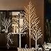 Hairui Lighted White Birch Tree 6FT, Twig Tree with Lights Plug in for Christmas Wedding Party Easter Decorations Indoor Outdoor Use