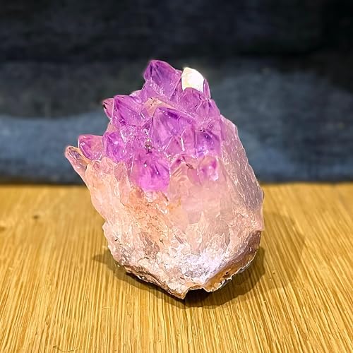 WALLDAY'S WONDER - EARWORMS VERSION