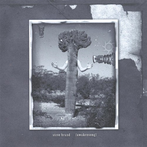 Bild: Awakensong f�r 9,99 EUR (-12%) statt 33,95 EUR bei amazon.de