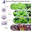 LYKOCLEAN Salad Romaine Lettuce Pods for AeroGarden, Ahopegarden, iDOO Hydroponics Growing System, 350 Seeds+ Including American Fast Lettuce, Paris Island Cos Lettuce, Buttercrunch Lettuce(7-Pods) #1