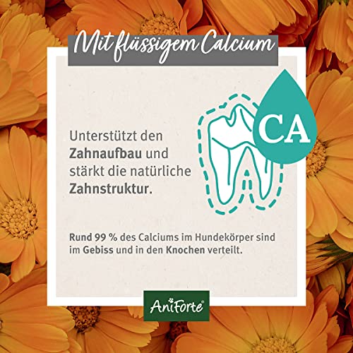 AniForte Denta Clean & Care Dentalspray für Hunde – 100% natürliche Extrakte & Calcium, entfernt Zahnbelag, Mundgeruch Spray für frischen Atem, beugt Plaque, Zahnstein vor, Zahnpflege Spray