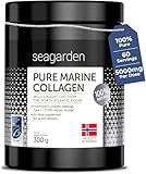 Pure Marine Collagen Powder - 5000mg - Hydrolyzed Collagen Peptides Type 1 - Supplements for Women and Men, for Hair, Skin and Nails - Unflavored, 300g, 60 Servings