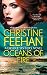 Oceans of Fire (Sea Haven: Drake Sisters Book 3)
