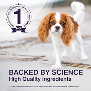 Nutramax-Denamarin-Liver-Health-Supplement-for-Dogs-With-S-Adenosylmethionine-SAMe-and-Silybin-30-Chewable-Tablets - Cucciolini Doodles   Nutramax-Denamarin-Liver-Health-Supplement-for-Dogs-With-S-Adenosylmethionine-SAMe-and-Silybin-30-Chewable-Tablets