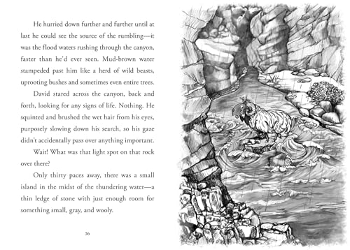 Young David: Shepherd - Image 7