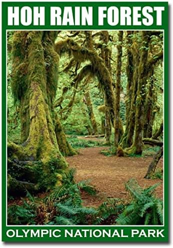 HOH Rain Forest Olympic National Park, Washington Fridge Magnet Size 2.5" x 3.5" image 2