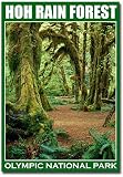 HOH Rain Forest Olympic National Park, Washington Fridge Magnet Size 2.5" x 3.5"