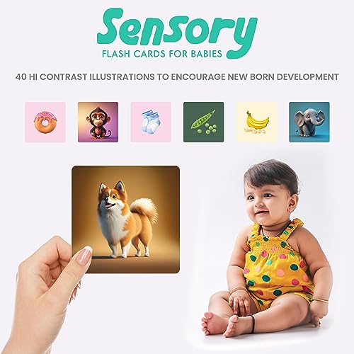 Image of SPARTAN KIDS High Contrast Flash Cards for Newborn Babies, 160 Pictures, Sensory Development for Infants 0-36 Months, Visual Stimulation (Set of 4)