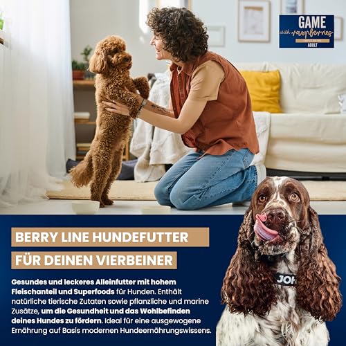 John Dog Hundefutter für Hunde Berry Line Wildschwein mit Himbeeren - Getreidefrei Hundenassfutter mit Superfoods und 96% Fleisch & Innereien - Nassfutter für Erwachsene Hunde 6 x 400g