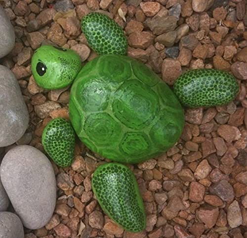 See full amazon price history chart for Rameshwaram Marble Pebbles Turtle Art for Garden - 1 Big Stone and 5 Small Stone Painted Turtle Tortoise Rameshwaram Marble Pebbles Turtle Art for Garden - 1 Big Stone and 5 Small Stone Painted Turtle Tortoise (B0956NFS1K) Amazon Price History, Amazon Price Tracker