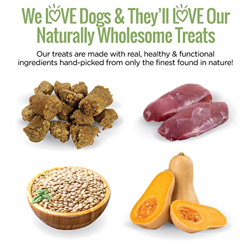 Smart Cookie All Natural Dog Treats - Duck & Squash - Training Treats For Dogs With Allergies Or Sensitive Stomachs - Soft Dog Treats, Grain Free Dog Treats, Chewy, Human-Grade, Made In Usa - 5Oz Bag #TOP4