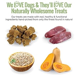 All Natural Dog Treats - Duck & Squash, 1 Pack (5oz Bag) - Training Treats for Dogs with Allergies or Sensitive Stomachs - Soft Dog Treats, Grain Free Dog Treats, Chewy, Made in USA All Natural Dog Treats – Duck & Squash, 1 Pack (5oz Bag) – Training Treats for Dogs with Allergies or Sensitive Stomachs – Soft Dog Treats, Grain Free Dog Treats, Chewy, Made in USA