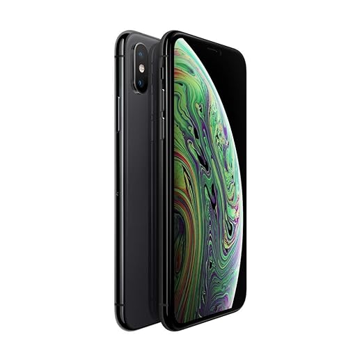 Apple iPhone XS 64GB Grigio Siderale (Ricondizionato)