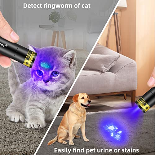 Darkbeam Uv Flashlight 365Nm Wood's Lamp V4 Usb Rechargeable Portable Blacklight Led Ultraviolet Light Mini, Detector For Pet Urine - Stains, Flurescent Material, Money, Amber Detection #TOP2