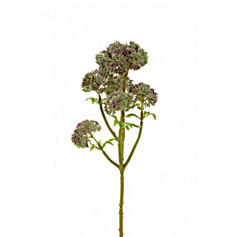 FloristryWarehouse Angelica Artificial Succulent 33cm Green Pink