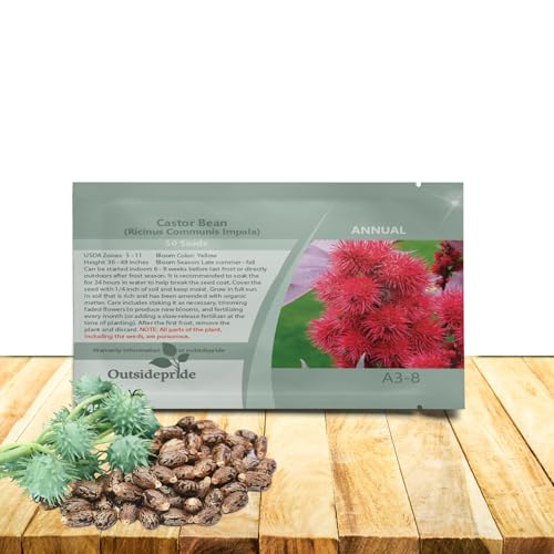 Outsidepride Impala Castor Bean Seeds - 50 Pcs. Annual Quick-Growing Tropical Flower Seeds for Planting Vibrant Foliage & Colorful Blooms for Eye-Catching Borders Gardens & Landscapes