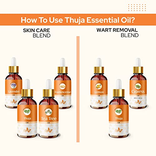 Image of Crysalis Thuja (Thuja Occidentalis L.) Oil |100% Pure & Natural Undiluted Essential Oil Organic Standard Thuja Oil, Improves Body Ache, Improve Skin Breakouts, Soothes Dry Skin- 15ml