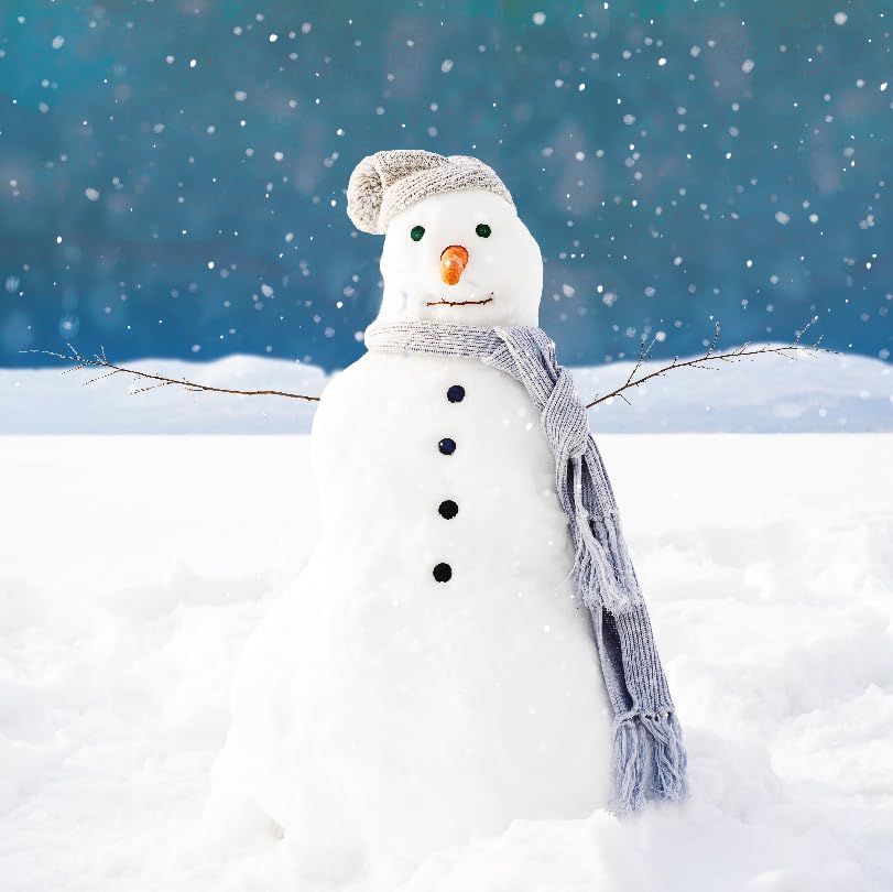 Photographic Winter Festive Art Charity Christmas Cards - Eco-Friendly - Pack of 6 (Proud Snowman), Medium