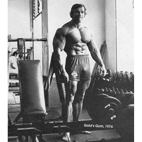 Hao Sai's shop Living Room Home Wall Decoration Fabric Poster Arnold Schwarzenegger Bodybuilding Bodybuilder Barbell Dumbbells Gyms Athletic A412 (40X50Cm) Without Farme