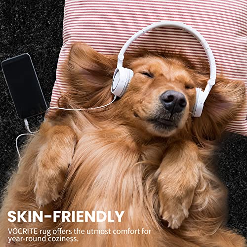 Vocrite Large Fluffy Rug For Bedroom, 6X9 Black Shag Shaggy Area Rug, Anti-Skid Fuzzy Faux Fur Rug For Living Room Playroom Nursery Classroom Kids Room, Soft Carpet For Home Room Decor #TOP2