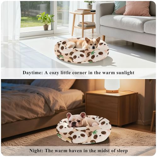 Lit orthopédique pour chien taille M contre le mal de dos