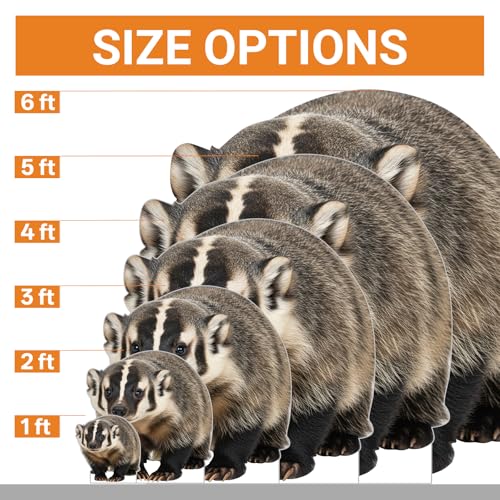 Image of American Badger 3FT Life Size Cardboard Cutout Standup, 1 PC | Life Size American Badger Cardboard Cutout Standup for Party Decor, Birthday, Events, Photos & Themed Parties
