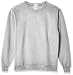 Produktbild Hanes Herren EcoSmart Sweatshirt, Leichter Stahl, 4X-Large