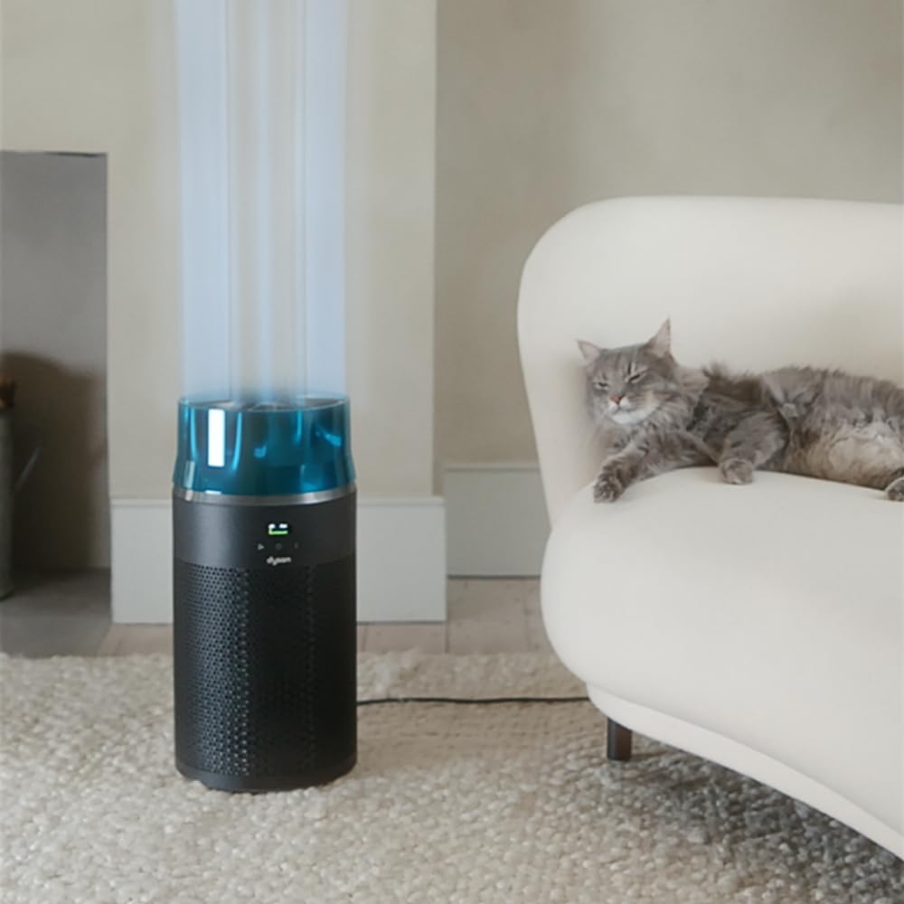 Dyson Hushjet™ Purifier Compact Black/Teal : Amazon.ca: Home