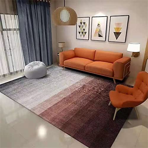 Alfombra de sala de estar gris purple lavable para decoración moderna 2