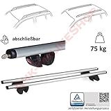 Relingträger universal Dachträger