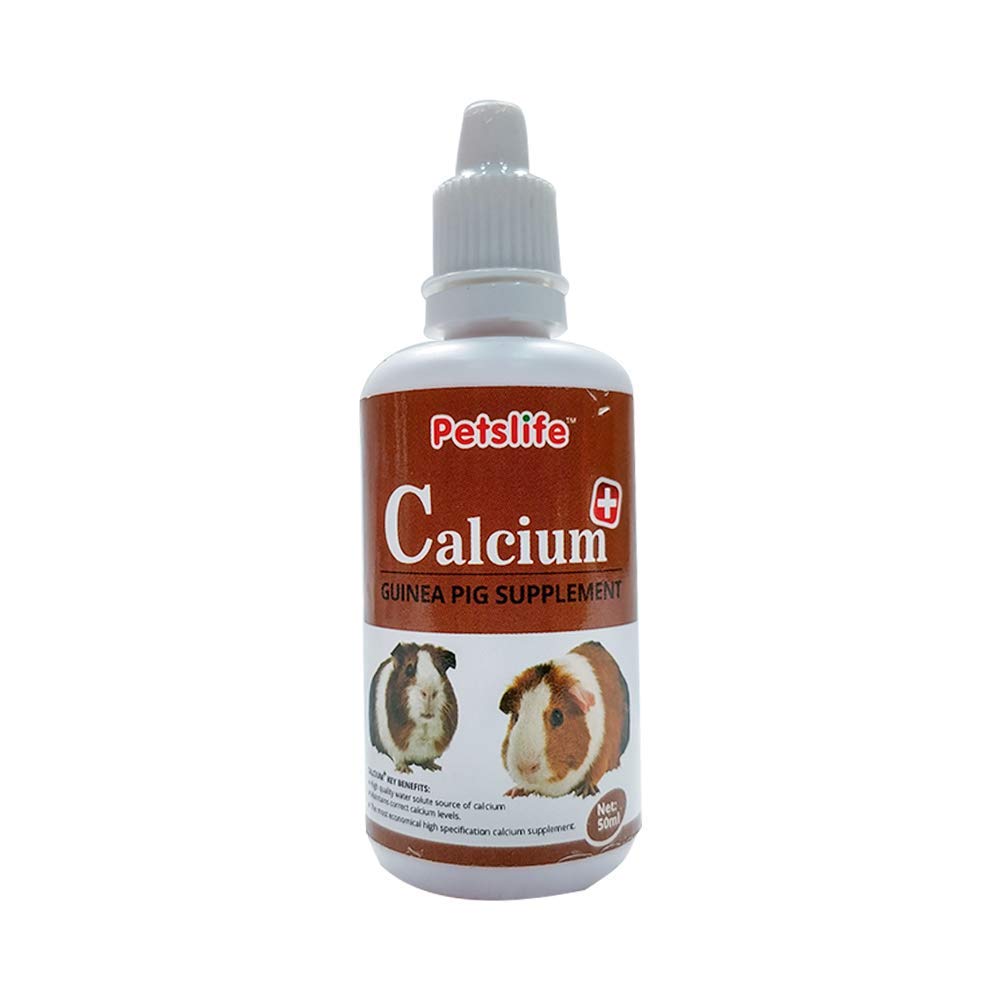 Petslife Medicine for Guinea Pig Calcium Supplement 50ml Amazon.in Pet Supplies