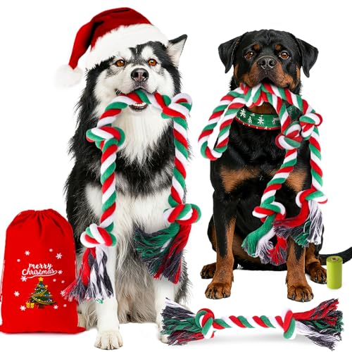 Forfon Christmas UIȊސl̂߂̊Ȍ̂ ? ^̂߂̃^tȊނAj&̃N[jOɍœK [v3&pi2t