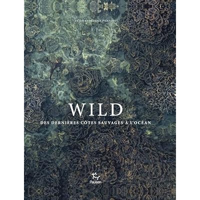 Wild - Des derni&egrave;res c&ocirc;tes sauvages &agrave; l'oc&eacute;an