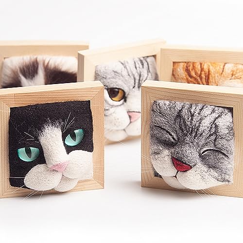 Quincry Needle Felting Kits for Beginners,Cat Head Photo Frame Ornaments Knitting Kit - Lovely Cat Decor & Wool Felt Cat Plush Toy Kit for DIY Handcraft Project for Christmas & Birthday Gifts (C)