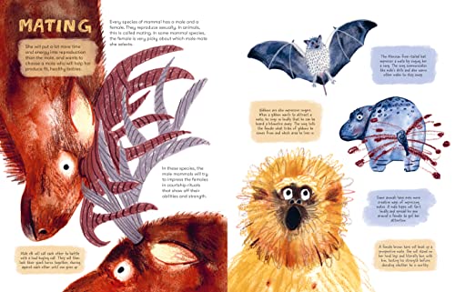 Mama Mammals: Reproduction and Birth in Mammals