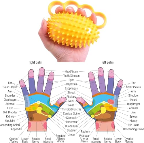 Physical Hand Therapy Ball, Designed to Help the Elderly and Disabled Increase Hand Strength. Massage and Exercise Your Hands to Improve the Flexibility of the Fingers and Restore the Strength of the Hands