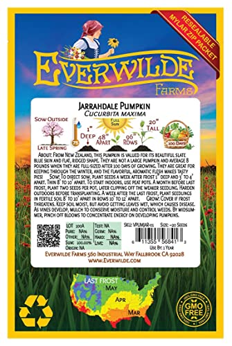 Everwilde Farms - 20 Jarradale Pumpkin Seeds - Gold Vault Jumbo Seed Packet #TOP1