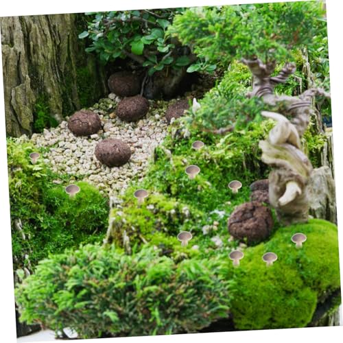 Champignons miniatures déco : l'accessoire idéal pour sublimer votre bonsaï - 8