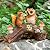 WONDHOME Solar Owl Garden Statues Outdoor Decor Resin Owl Squirrel Figurine with Mushroom Lights for Patio Lawn Yard Decorations Christmas Birthday Housewarming Gardening Gifts for Women Mom