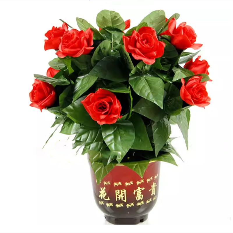 ZQION 10 Rosen Blühende Blume Fernbedienung Zauberrequisite für Hochzeiten & Partys Blumentrick Sofort Blühender Rosenbaum für Magier Bühne Zaubertricks Requisiten (Rote Rose)