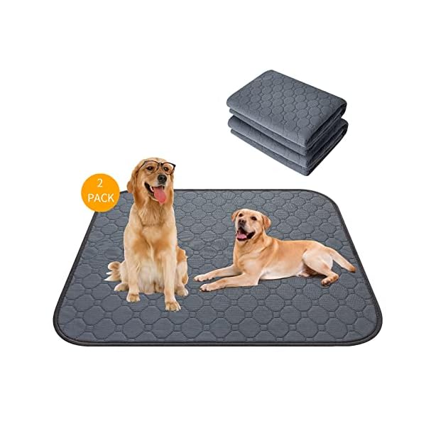 JOEXDISE 2 Pack Washable Dogs Pee Pads, 48″ x 36″, Waterproof Reusable Pet Training Pads, Non Slip Dog Bowl Mats with Great Absorption, Reusable Puppy Pee Pads for Floor, Sofa, Potty, Cage, Car-Large
