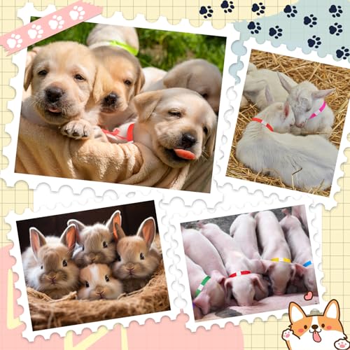 Image of Nezyo 300 Count 18.5 Inch Puppy Collars Paper Dog Collars Whelping Collars Puppy ID Collars Colored Adhesive Pet Identification Collars for Newborn Small Pet Dog Cat,10 Colors