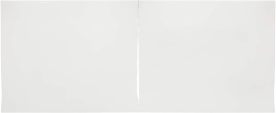 Strathmore (580-92 500 Series Bristol, 2-Ply Plate Surface, 14x17, 15 Sheets
